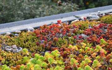 the cost of Brighton Hill green roof installation