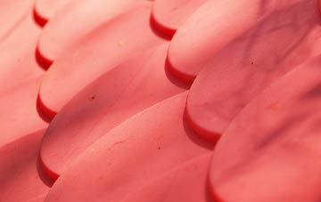 Brighton Hill plastic roof costs