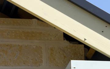 soffit repair Brighton Hill